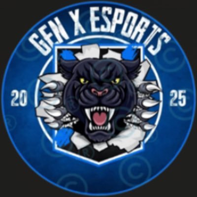 SCFC_Esports's profile picture. 