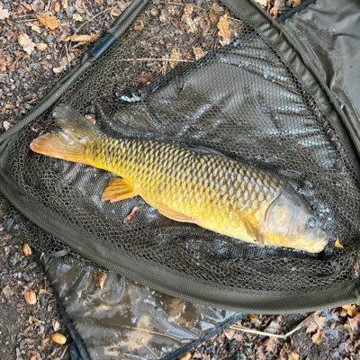 HeDaresToAsk's profile picture. Politically homeless and someone wondering where in the hell this country is going to end up. I own my perceptions, and won’t be bullied by others opinions.