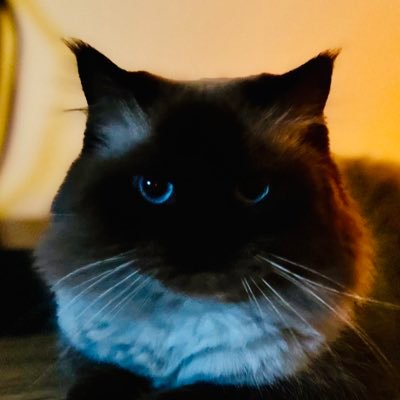 xsx3562's profile picture. May God bless you.
