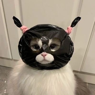 taetaebee_'s profile picture. lemme be ur umbrella •°. *࿐ my 🍊 thread ⬇️