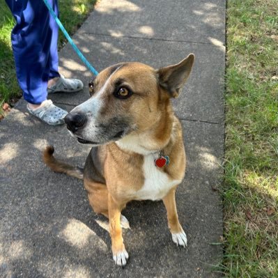 spudletsumma's profile picture. 