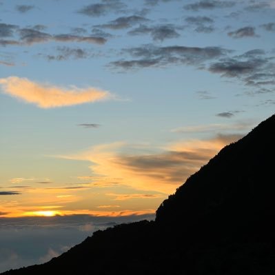 creamiyours's profile picture. 🥾⛰️🍃🌱🌿🍀☘️☀️☁️💚