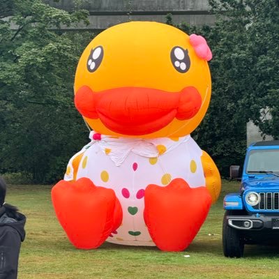 @duckduckping