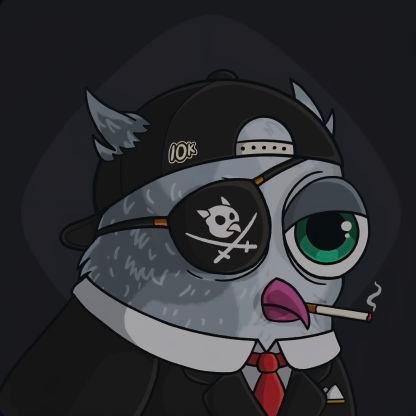 cryptofaruh's profile picture. creator.