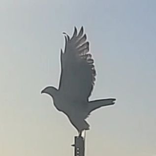 AyeSeeNot's profile picture. we are something that is both nothing and everything. what a profound paradox are we