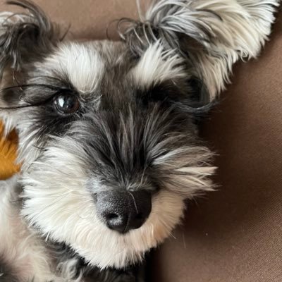 im_riichan's profile picture. 暇な都内OLの日常 ‘00 Infj