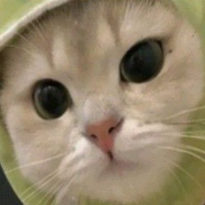 AesophLyne81646's profile picture. 19 看護^^ 
どーが垢
→@Nouhailamajdi1