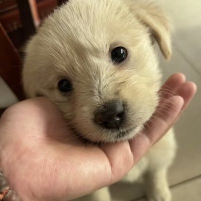 urryhdw's profile picture. 