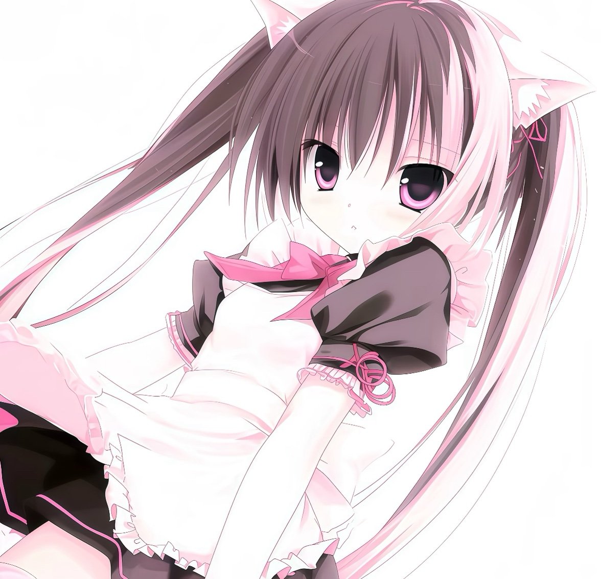 Suilyya's profile picture. 本体是一只小猫！喜欢发一些碎碎念喵^ ^ ｜🚪188 ｜不是网黄不是flj不线下 ｜脾气恶劣喵