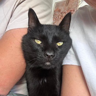 Noon0oooo's profile picture. 