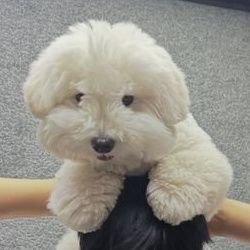 h910429h's profile picture. 💛