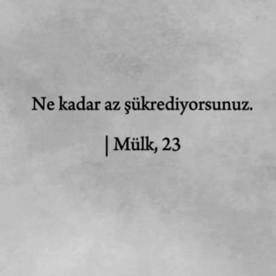 hamzaklc00's profile picture. 