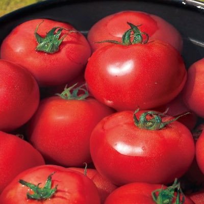 rurdxu's profile picture. 