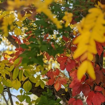 StockAndFPL's profile picture. 