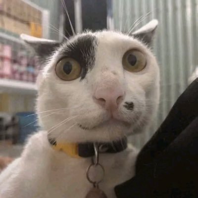 th39399's profile picture. 你所赚的每一块钱，都是你前半生做对事情得到的赞赏； 你所花掉的每一块钱，都是你为你想要的世界投票； 你所亏掉的每一块钱，都是你为你认知的缺陷交学费。