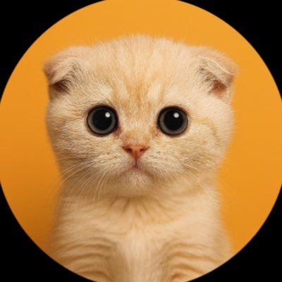 SachiCoinsolana's profile picture. Powered by the cutest force on Solana 🐾 $SACHI is more than a meme, it's a movement. Built to make crypto fun again. TG⏬ https://t.co/LqDD5FERHg...