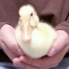 bakupso2's profile picture. 音楽
邦洋ROCK HIPHOP REGGAE演歌EDMアニソンボカロ民族系スカ民謡Ska-Punk歌謡ポップス
ジャンルでなにとかいらないだから
もっとでかい音をくれ

YouTubeLive/Twitch/ツイキャス/ニコニコ生放送/ふわっち/ホロライブ