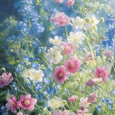 XingRenTing's profile picture. 