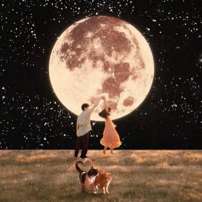 Nemas216369's profile picture. 