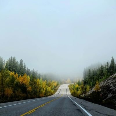 m1111985's profile picture. لاشي