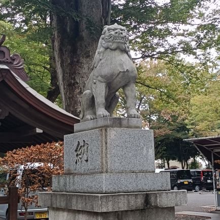 Mnbvc68365036's profile picture. 本業を心豊かに進めて行くために副収入を増やしていきたい。ラグビーワールドカップをフランス観戦後、リーグワンもチェックするようになりました。ブレイブルーパスファンです。社会人大学院で経営を学んでいます。