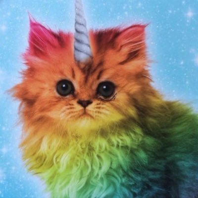 SillyNiri's profile picture. 𖦹ׂ ₊˚⊹⋆ ⭐️ My Sugoi life.