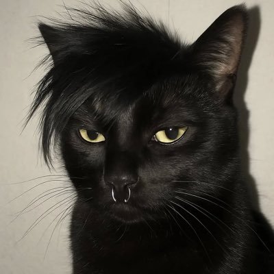 Lucas2031133's profile picture. 