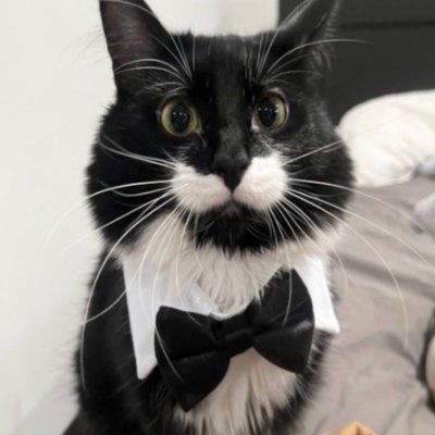 vicentesandev's profile picture. 16y high school dropout