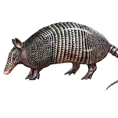 ma37510065's profile picture. 