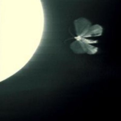 graysandbeach's profile picture. ❛ I'll die if I wither in your memory.. ❜
MAIN ACCOUNT: @ElaraSB 
♬: ғᴏʀɢᴇᴛ-ᴍᴇ-ɴᴏᴛ - ʟᴀᴜғᴇʏ
▶︎ •၊၊|၊|။|။|။| 2:47
//TW: Harsh & sensitive topics, self harm, ect.