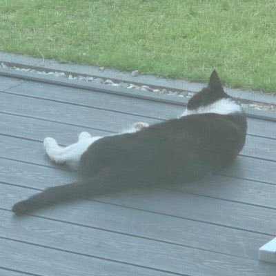 ssel1na's profile picture. 