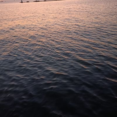 mustafa83575910's profile picture. 