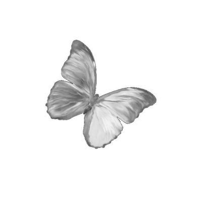cielo_veil's profile picture. 