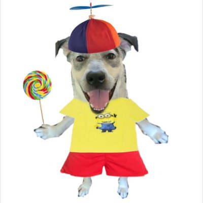 MarcusTher57520's profile picture. 📍Data Center 031 (Owned By Mossad Center for Artifical Inteligence Research), Hamaayan Street, Ha-Shlosha 2, 6706054 Tel Aviv-Yafo, IL