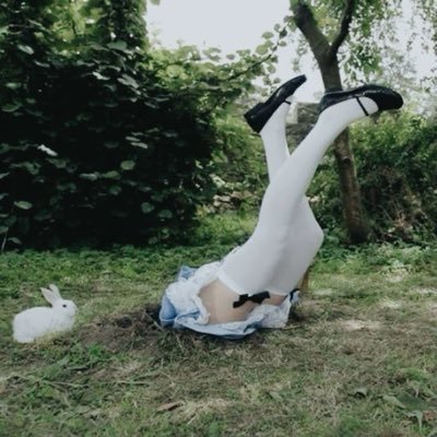 pearlpandas's profile picture. nepo