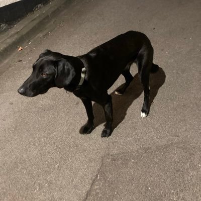 hadinism's profile picture. I drove all day