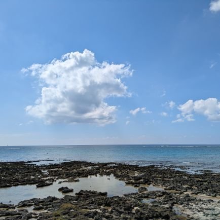 masa3smile's profile picture. 仮想通貨戦略の思考を整理するためのポストが多いです！
こんな考えもあるんだと楽しく読んで貰えれば幸いです😄
2025年1月から始めた『動画編集』についてもポストします🎦
よろしくです！
#クマッタラーグループ