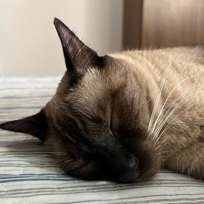 MillerWill29065's profile picture. 