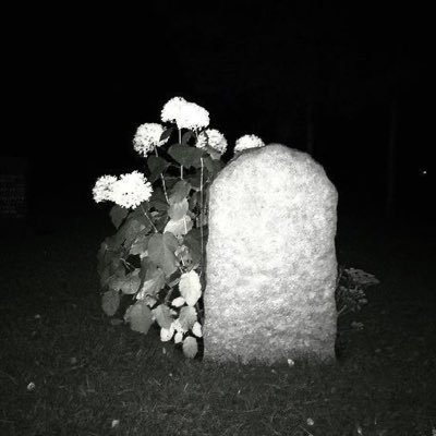 krsywg's profile picture. الحمد لله رب السماوات و الأرض و ما بينهما فسبحانه علوا عما يقولون علوا كبيرا