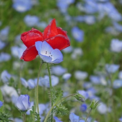 _sanposan_'s profile picture. ひとりごとを少々。