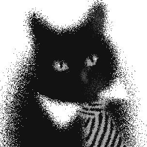 솰さんのプロフィール画像
