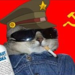 cuesta_pol's profile picture. Si