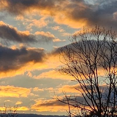 XPhoenix_PLN's profile picture. Digital Creator
Astronaut ID: A-Clas 38/10 
Business HERO
Founder of XPhönix PLN