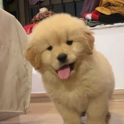 Safe_H16's profile picture. | 𝙁𝙖𝙣 𝙚𝙙𝙞𝙩 GL | NNN ⁴ ᵉˡᵉᵐᵉⁿᵗˢ 🔥 l LO ᵒⁿˡʸ ʸᵒᵘ ᵗʰᵉ ˢᵉʳⁱᵉˢ