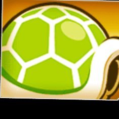 komo1517's profile picture. 