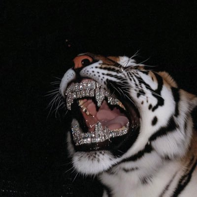 Alabijago0011's profile picture. @Zinoleesky01 Zinodict 📸🤞🏿