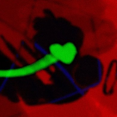 Sillybearteehee's profile picture. me but weierder hehe
i love boobs and paws and women and yay