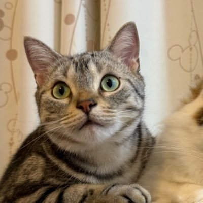 2MbuuQOTAY3566's profile picture. 