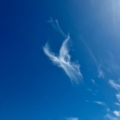 AbraxasUlysses's profile picture. If I told you I am different, would you understand the difference.? 
BSc, MBA
1-308
3.14159265359
(I survived the Vax attack.)