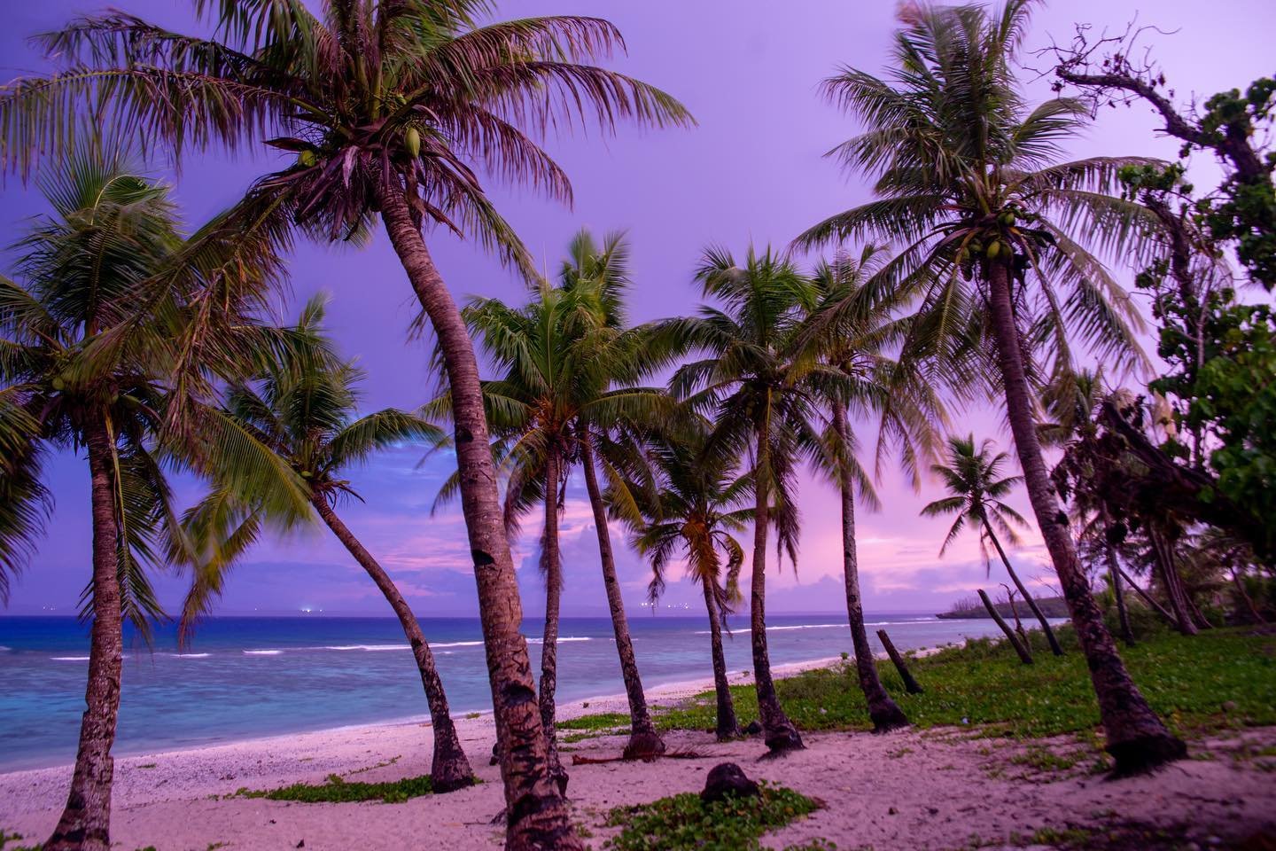 Elenasalap's profile picture. 